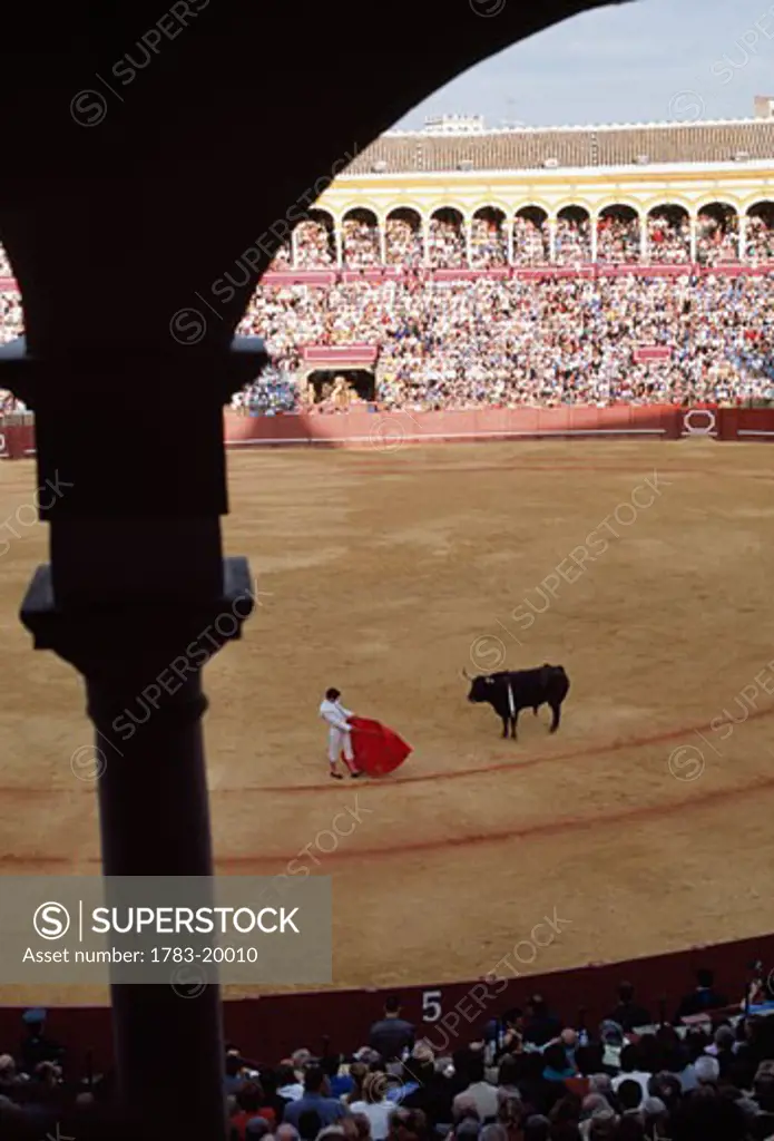 Bull fight, Seville, Spain
