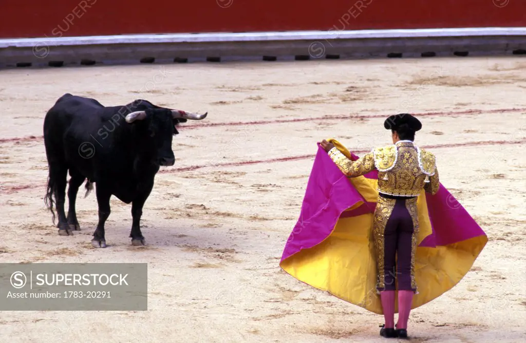 Matador tormenting bull in ring, Spain.