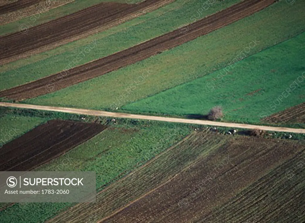 Track running through fields beside Santo Stefano di Sessanno, Abruzzo, Italy. 