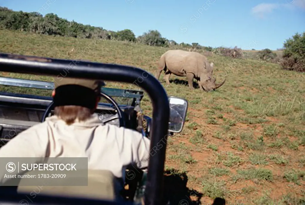Man in safari jeep looking at a rhinoceros, South Africa