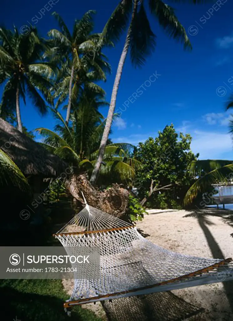 Empty hammock on beach with palm trees, Bora Bora