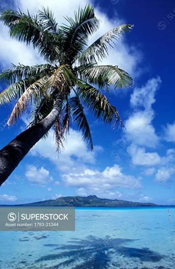 Tubuai, Austral archipelago, French Polynesia