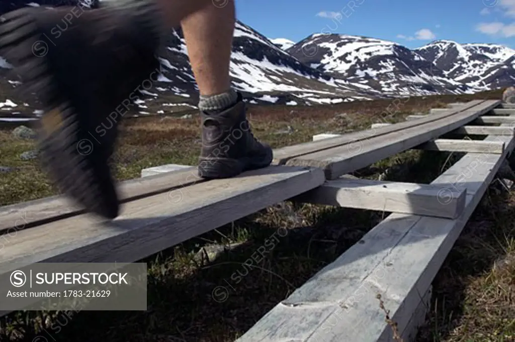 Hiking the Kungsleden Trail, Abisko, Abisko National Park, Norrbotten County, Lappland Province, Sweden.