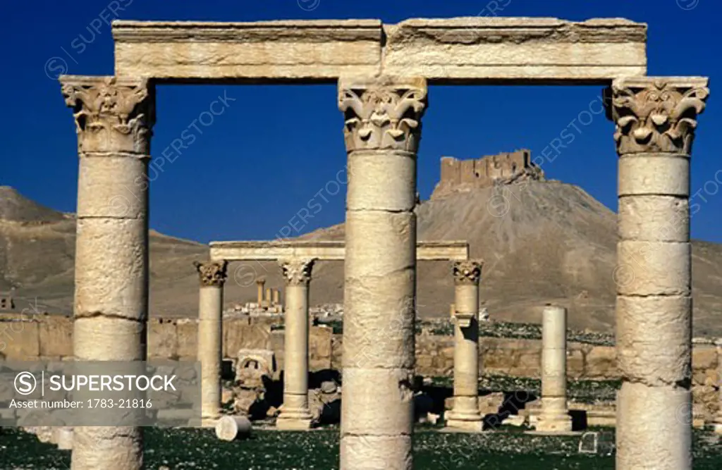 Colonnade at Palmyra, Palmyra, Syria