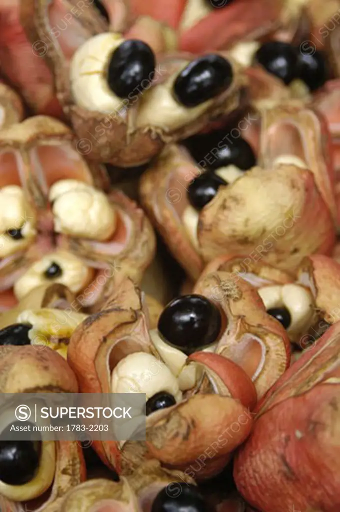 Detail of ackee for sale, Jamaica. 