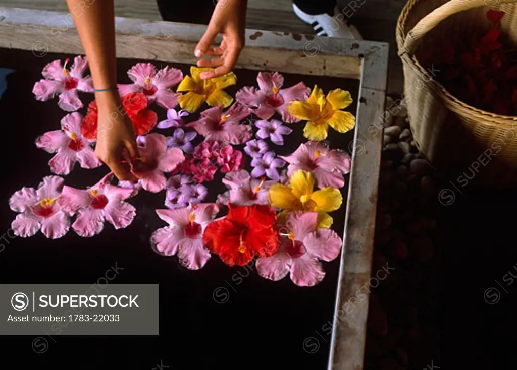 Putting flowers in bath, Close Up, Parrot Cay, Turks and Caicos Islands