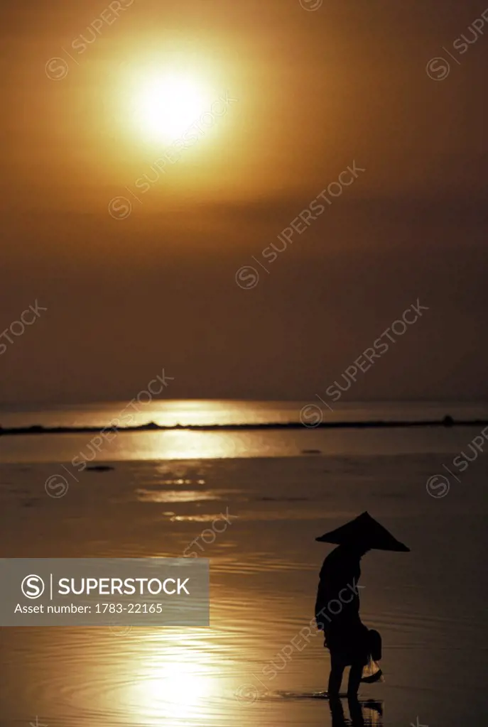 Woman in conical hat collecting shell fish at sunset, Koh Phangan, Surat Thani Region, Thailand