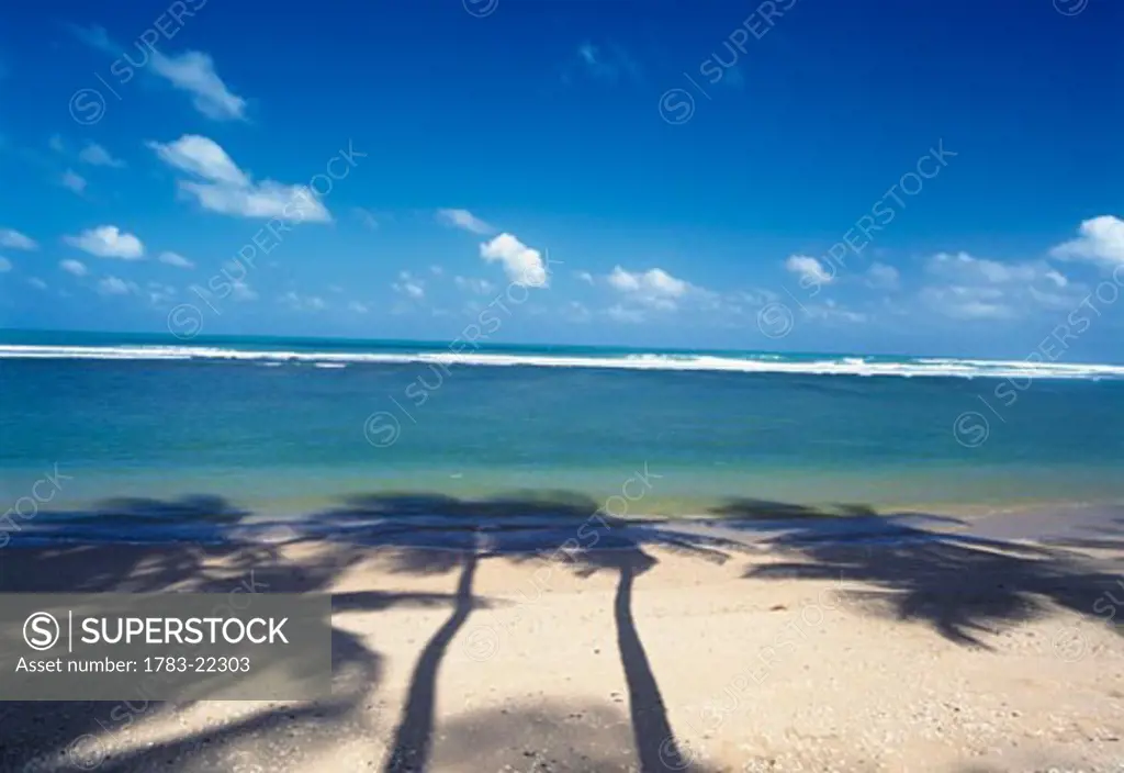 Shadow of palm trees on beach, Toco, Trinidad.
