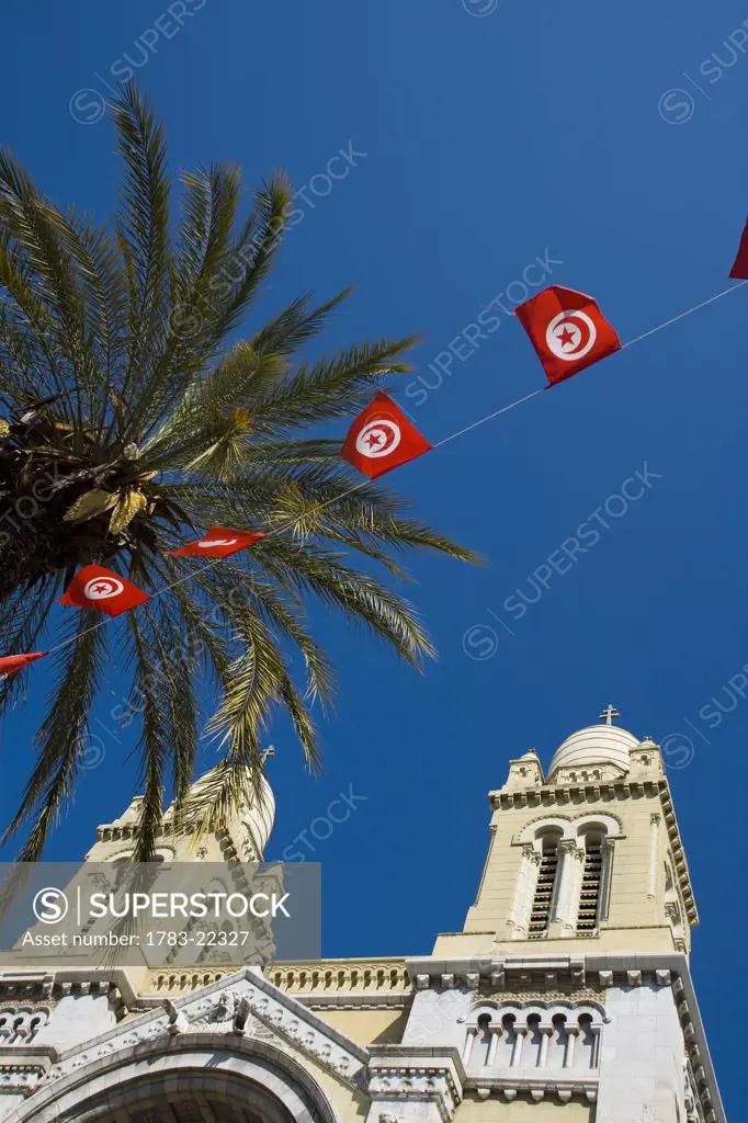 Cathedral of St Vincent de Paul, palm tree, and Tunisia flags, Tunis, Tunisia