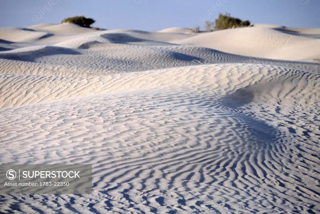 Sand dunes in Sahara desert near Douz, Southern Tunisia