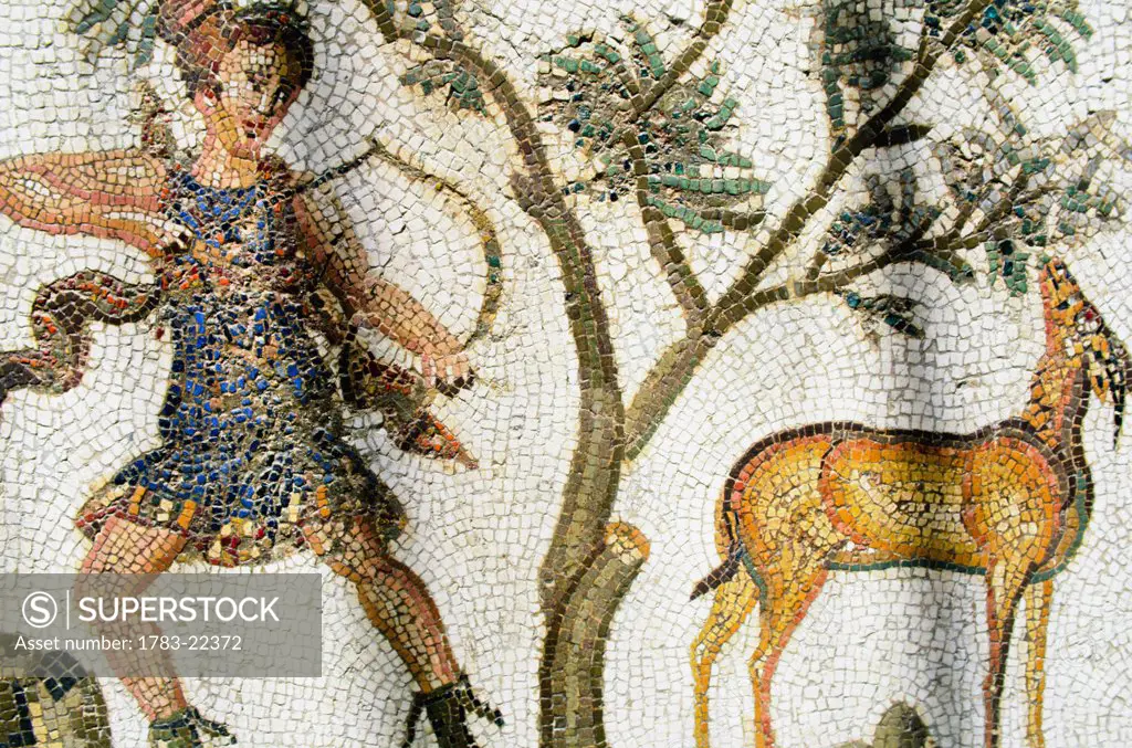 Mosaic of hunter and deer in Bardo Museum, Tunis, Tunisia.