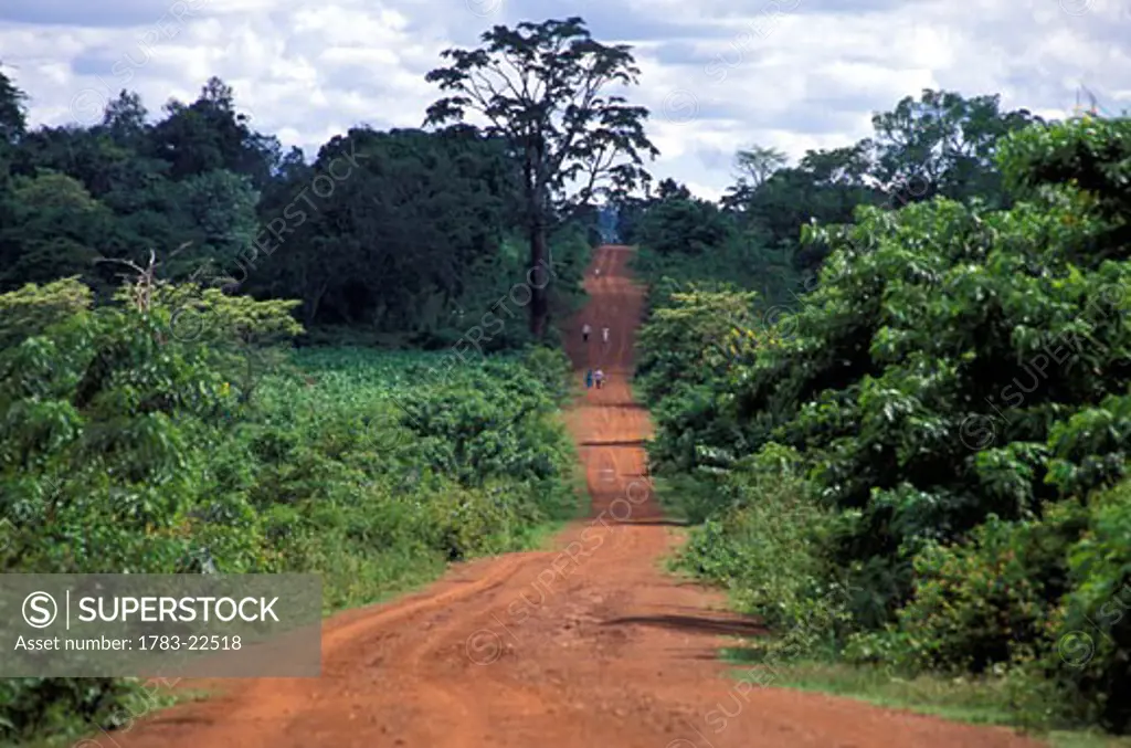 Empty dirt road in lush landscape, Kamuli District, Uganda