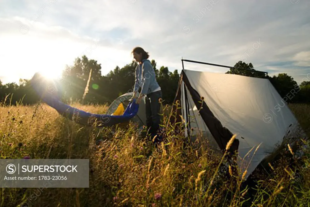 Woman shaking out sleeping bag beside tent in meadow, sunset, Groombridge, Kent, England, UK.