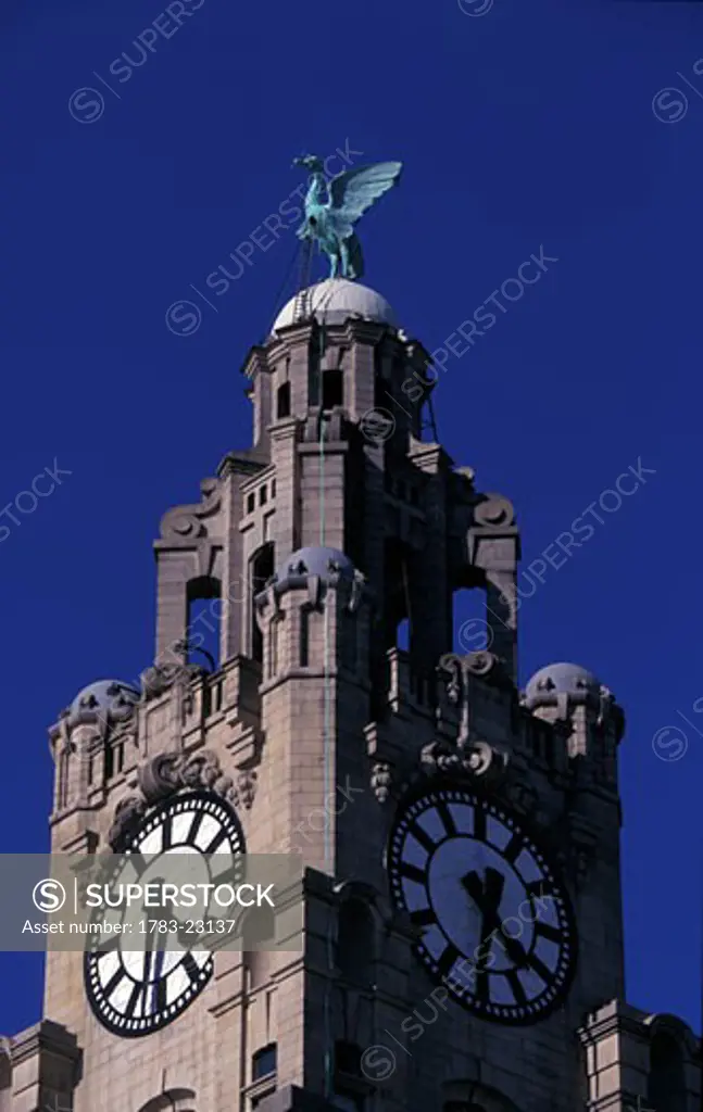 Royal Liver building with clock on Mersey waterfront  , Liverpool, England.
