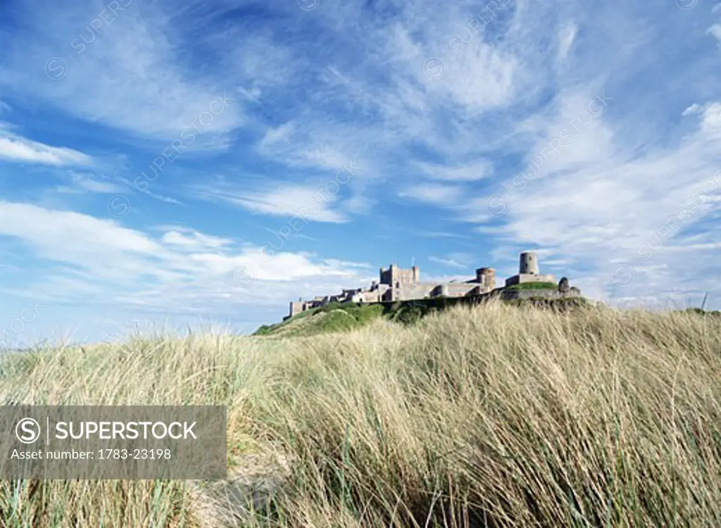 Looking over long grass to Bamburgh Castle, Northumberland, England