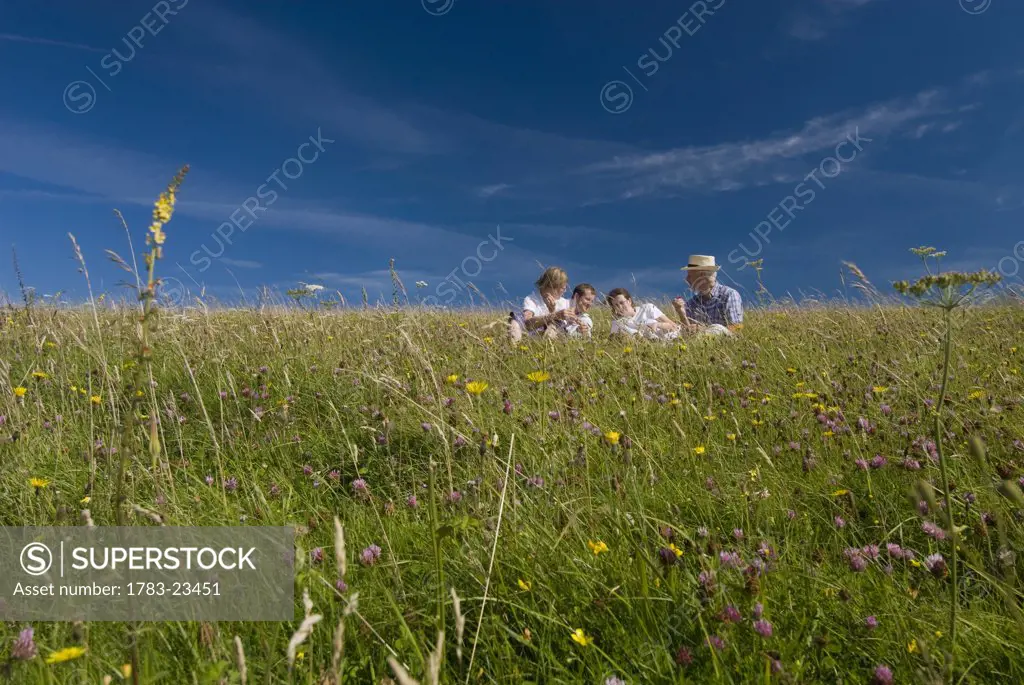 Two couples having picnic in meadow on the South Downs, Low Angle View, West Sussex, England