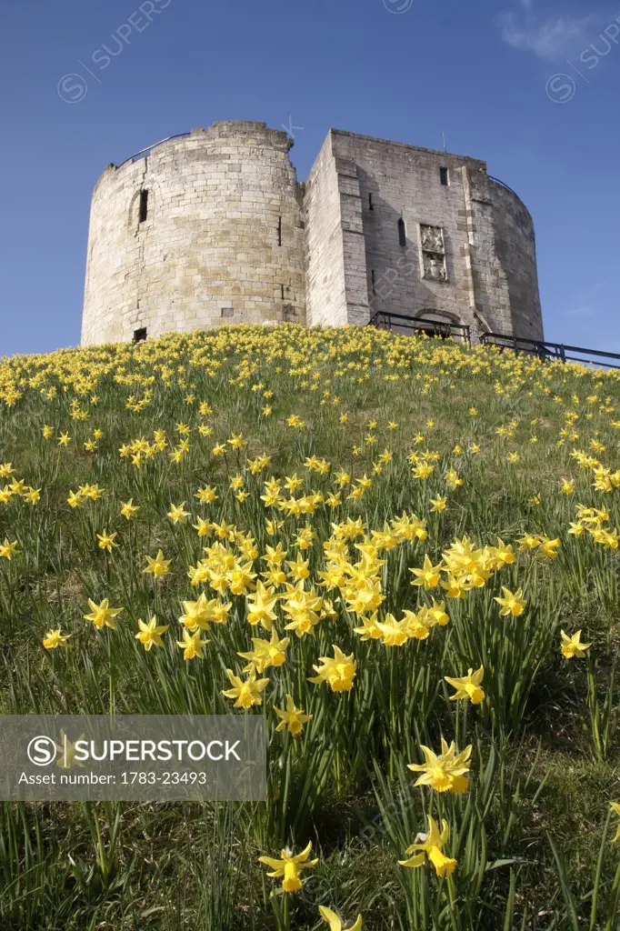 Cliffords Tower in Castle area, York, North Yorkshire, England.