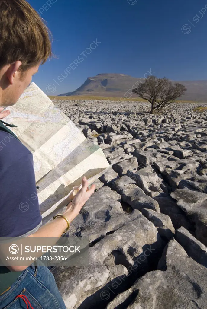 Hiker with map on limestone pavement, Twisleton Scars near Ingleton, Yorkshire Dales National Park, North Yorkshire, England.