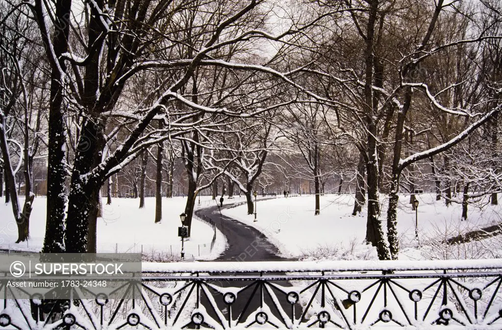 Snow in Central Park, New York City, New York, USA.