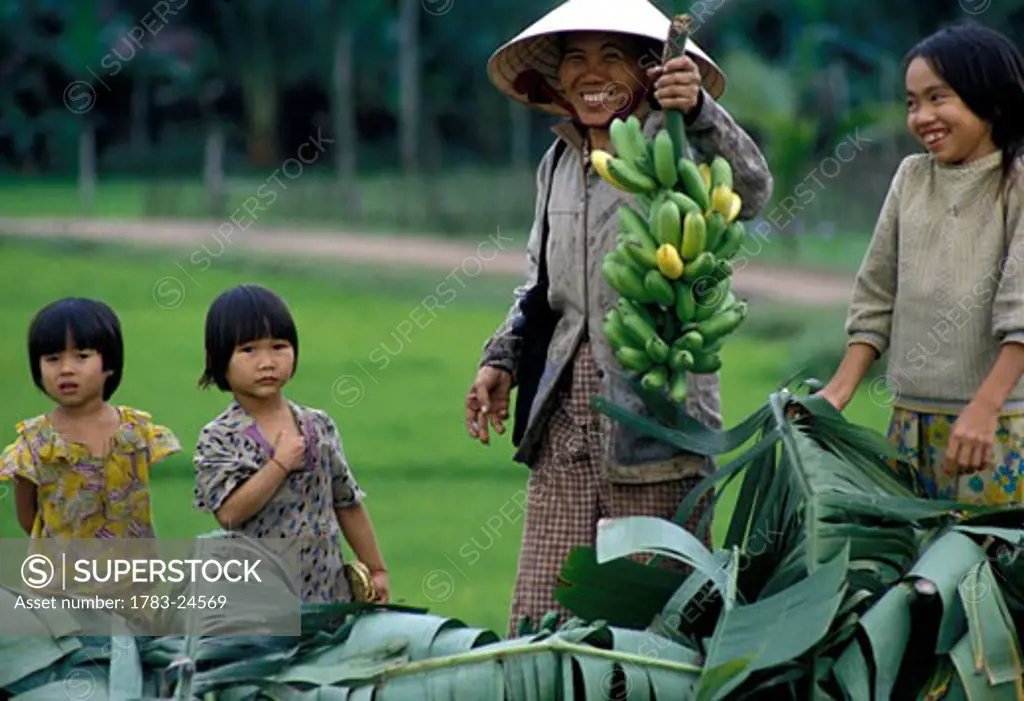 Harvesting bananas in North Vietnam, Vietnam.