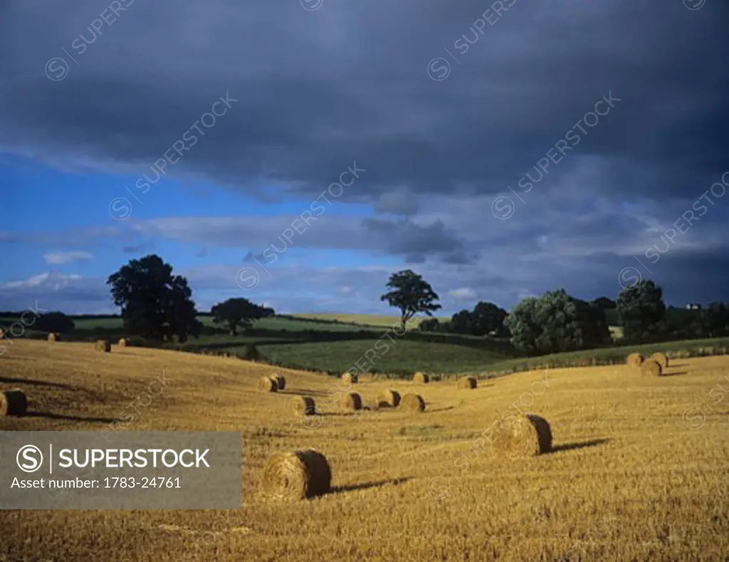 Rolling fields in Gwent, Wales, UK.