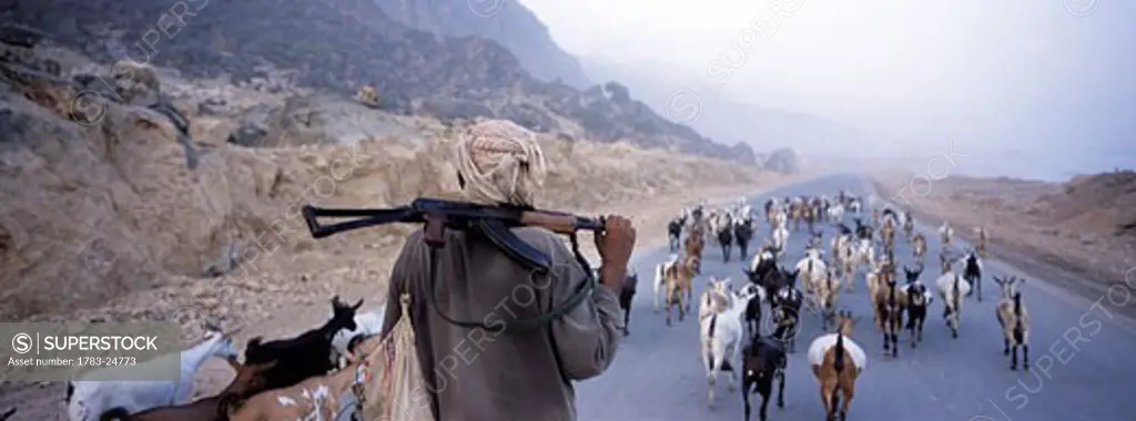Goat herder with AK47 over shoulder, Yemen.