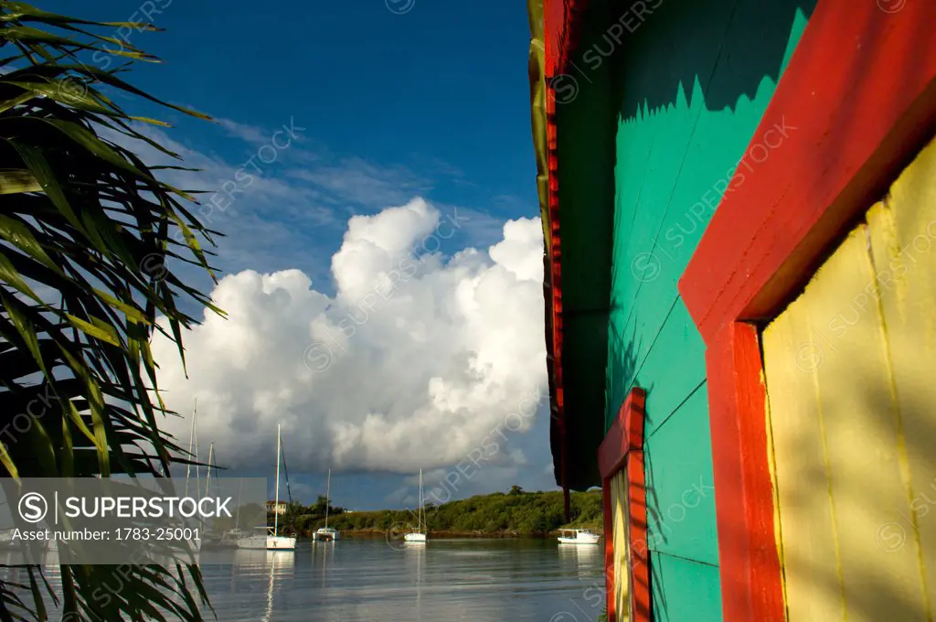 Colorful building, palm tree, and boats at True Blue Bay Resort.