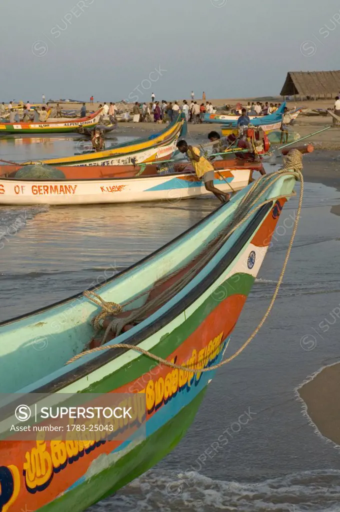 Fishing boats on Covelong beach, Kanchipuram District, Tamil Nadu, India c Sue Carpenter/Axiom