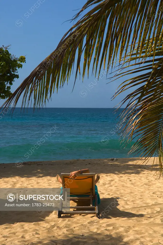 Woman sunbathing near palm trees on Magazine Beach