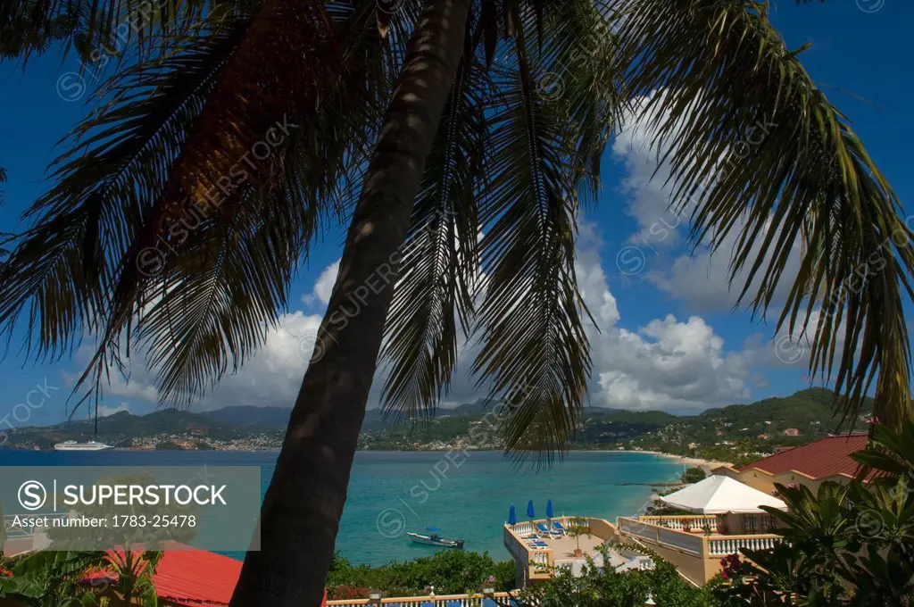High angle view over Grand Anse Beach and palm tree