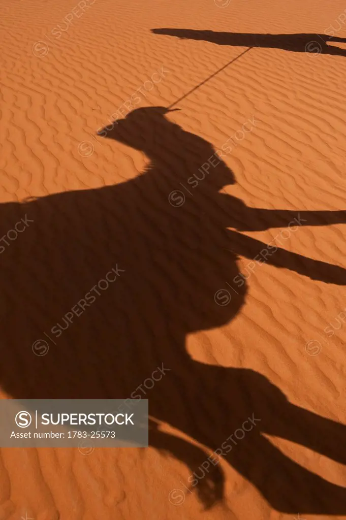 Shadow of Berber ´Blue man´ leading camel across sand dunes, Erg Chebbi area of the Sahara Desert near Merzouga, Morocco.