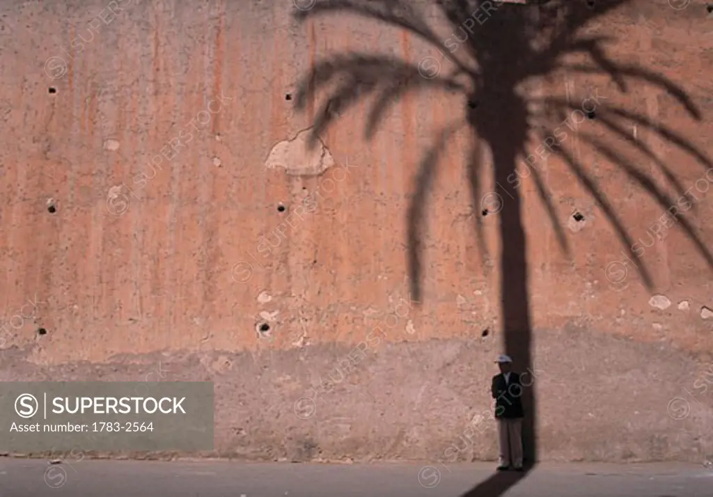 Man standing in shadow of date palm on the old city walls of Marrakesh, Morocco.