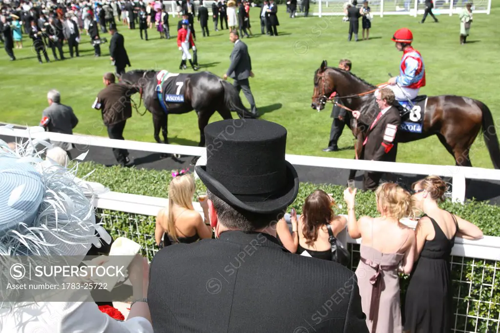 Rear view of man wearing a top hat and fashionable clothes at parade ring during Royal Ascot horse racing meeting. Women in dresses watch the horses p...