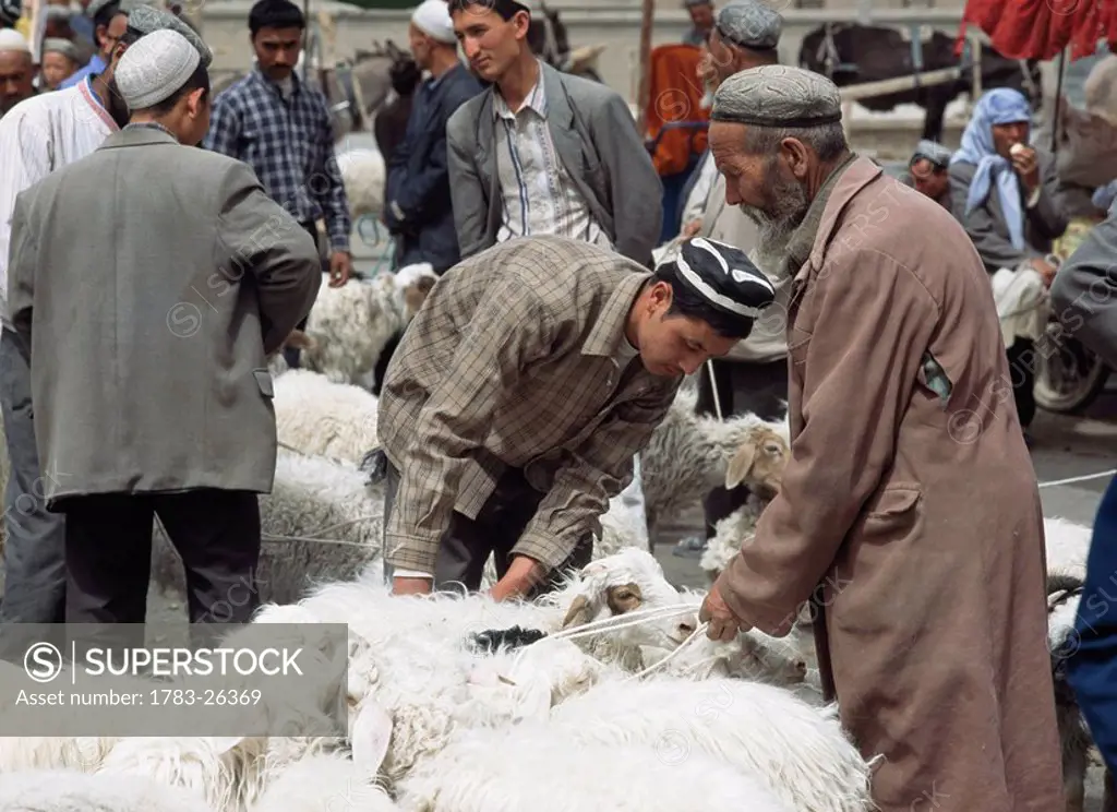 Traders with sheep at market, China