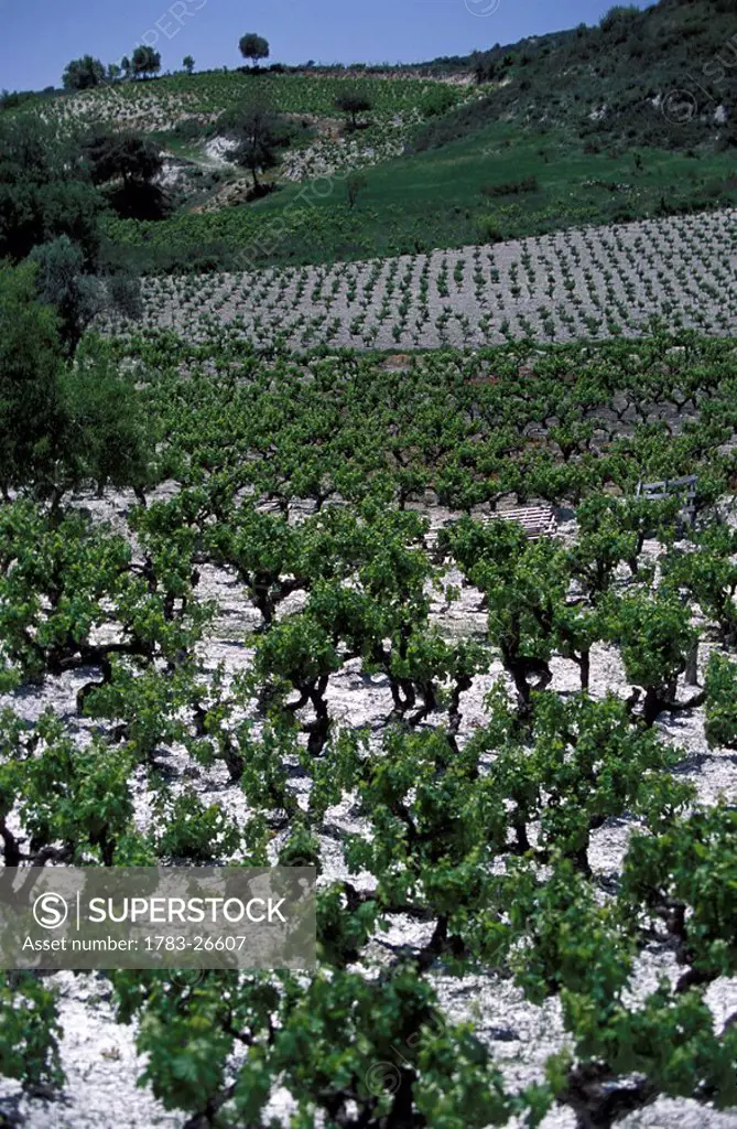 Wine growing region around Omodos , Troodos Mountains, Republic of Cyprus South Cyprus 