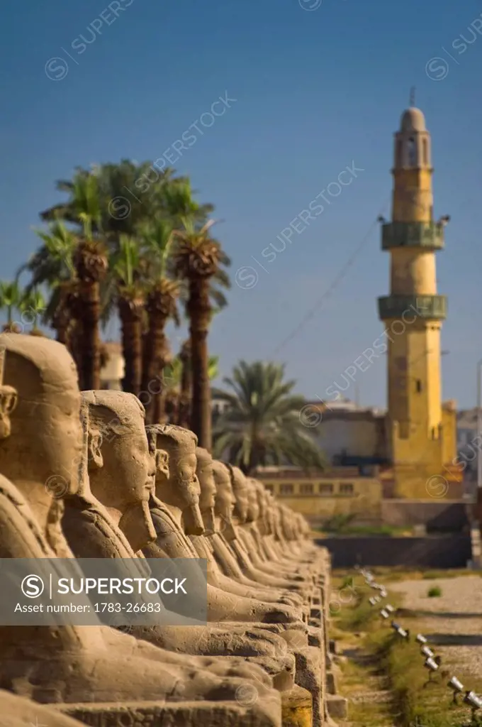 Avenue of Sphinxes and small mosque, Luxor Temple, Luxor, Egypt