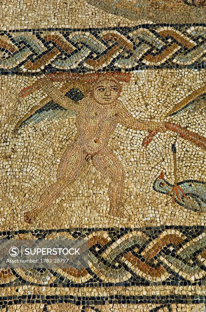 Mosaic at Roman city of Volubilis, Volubilis, Morocco