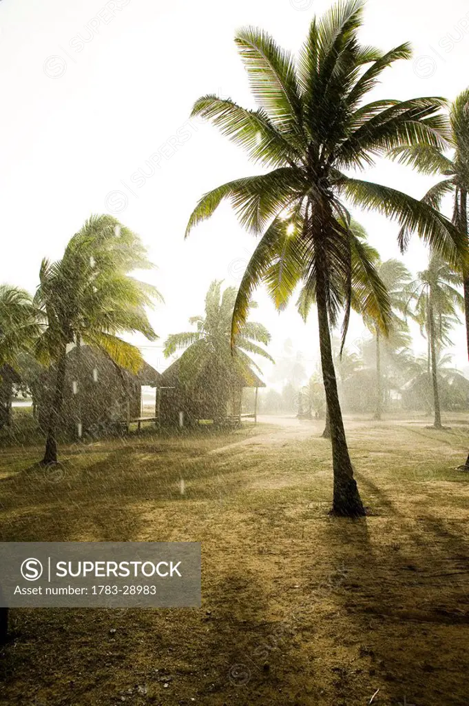 Heavy rainstorm on beach with sunshine, Penarek Inn beach huts, Penarek, Terengganu, Malaysia