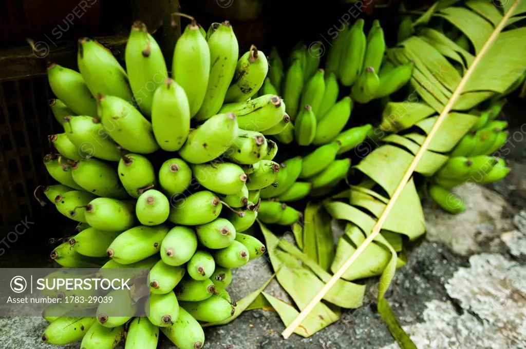 Close_up of big bunch of green bananas, Pulau Pinang, Malaysia