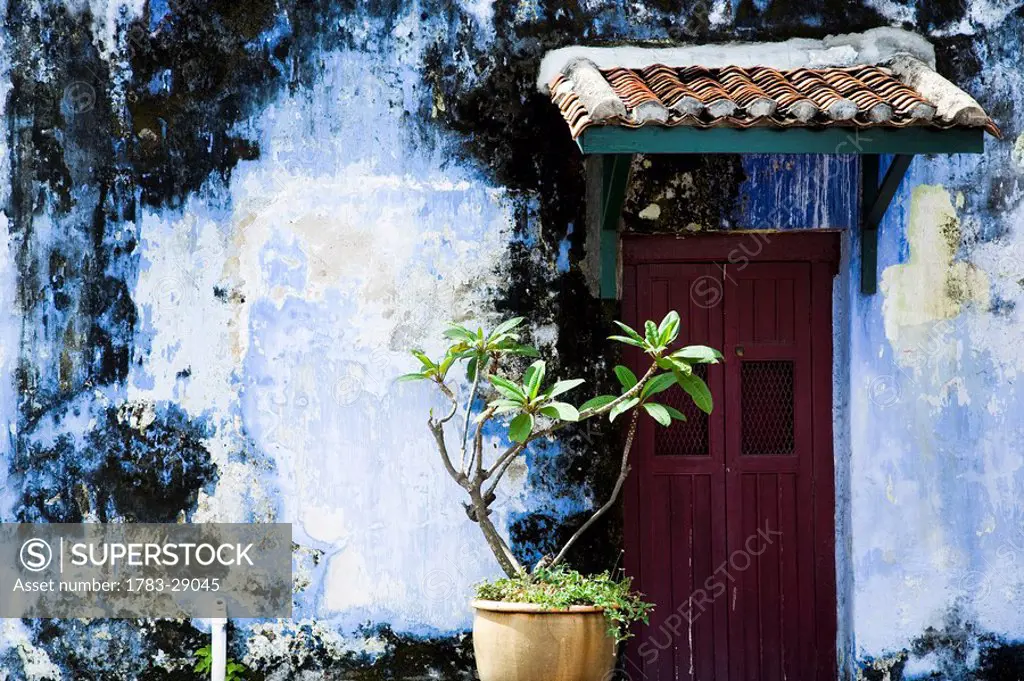 Doorway with tiled roof and plant, Georgetown, Pulau Pinang Penang, Malaysia