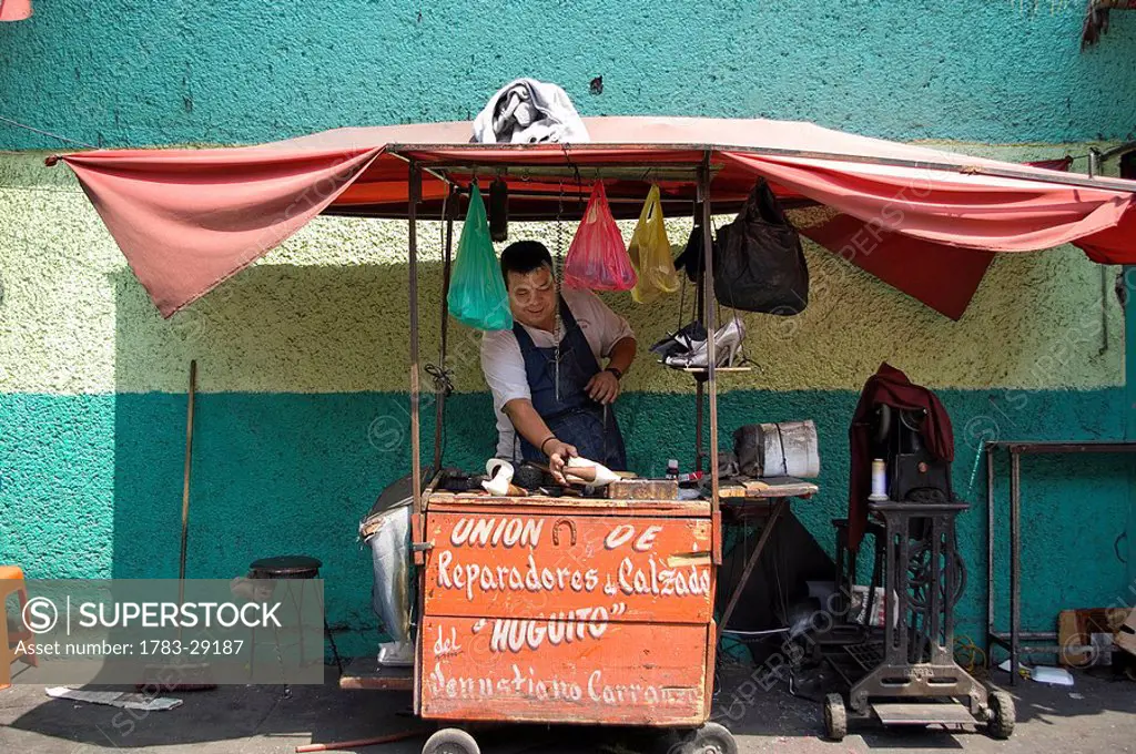Cobbler repairing footwear at street, Mexico City, Mexico State, Mexico