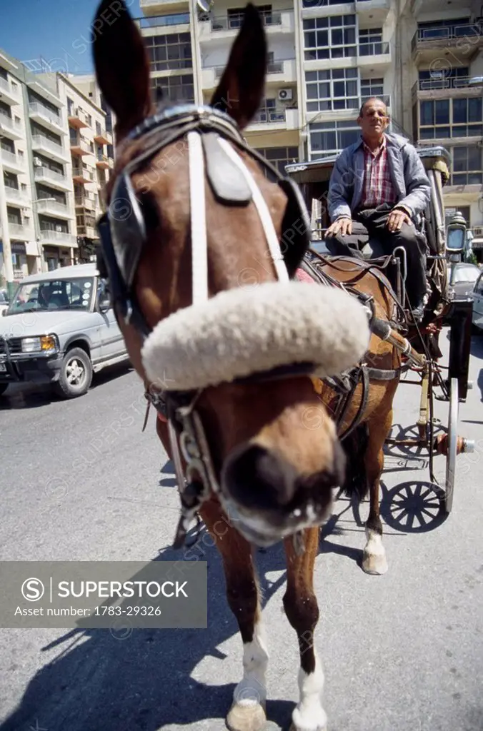 Horse and cart taxi, Valetta, Malta