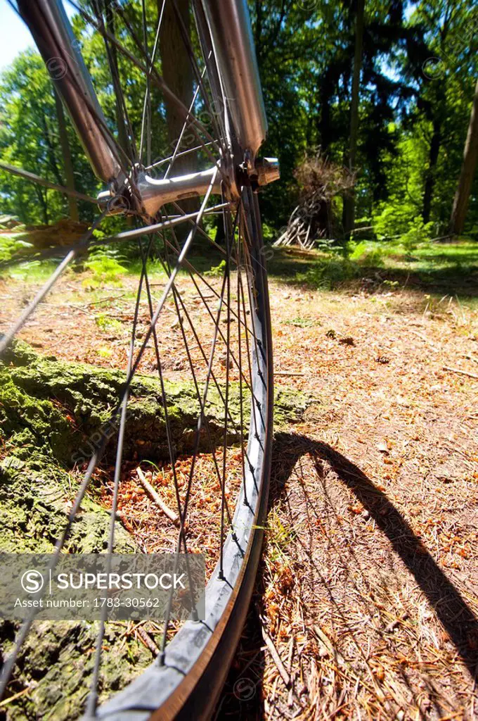 Bicycle in New Forest National Park