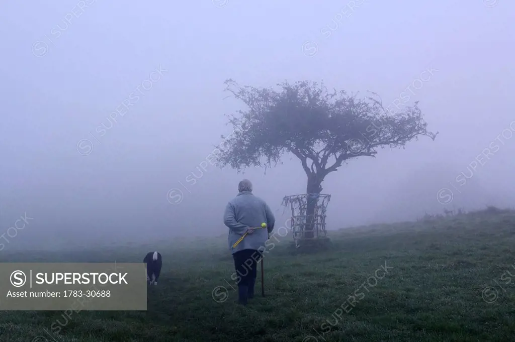 man walking dog on Wearyall Hill, Glastonbury, Somerset, England