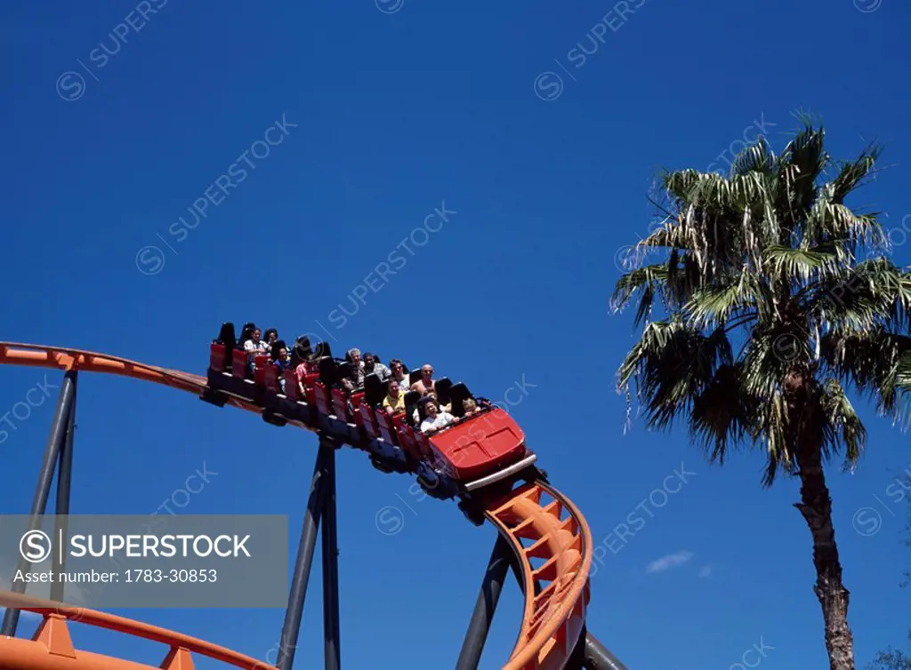 The Scorpian roller coaster, Busch Gardens, Tampa, Florida, USA