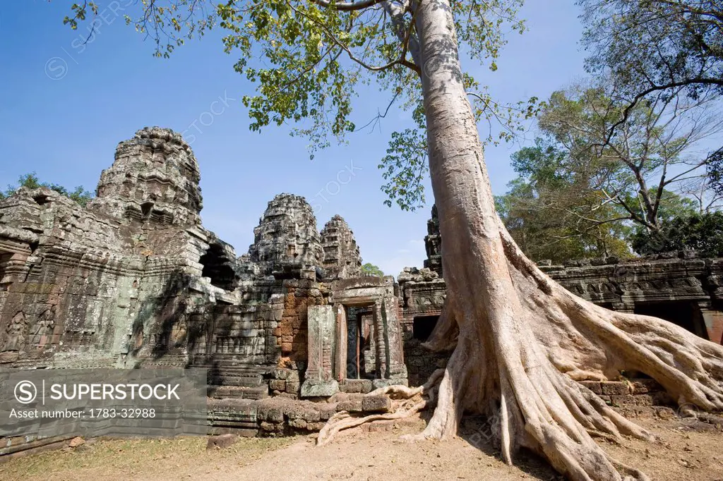 Prasat Ta Som Temple And Large Tree, Angkor,Siem Reap,Cambodia