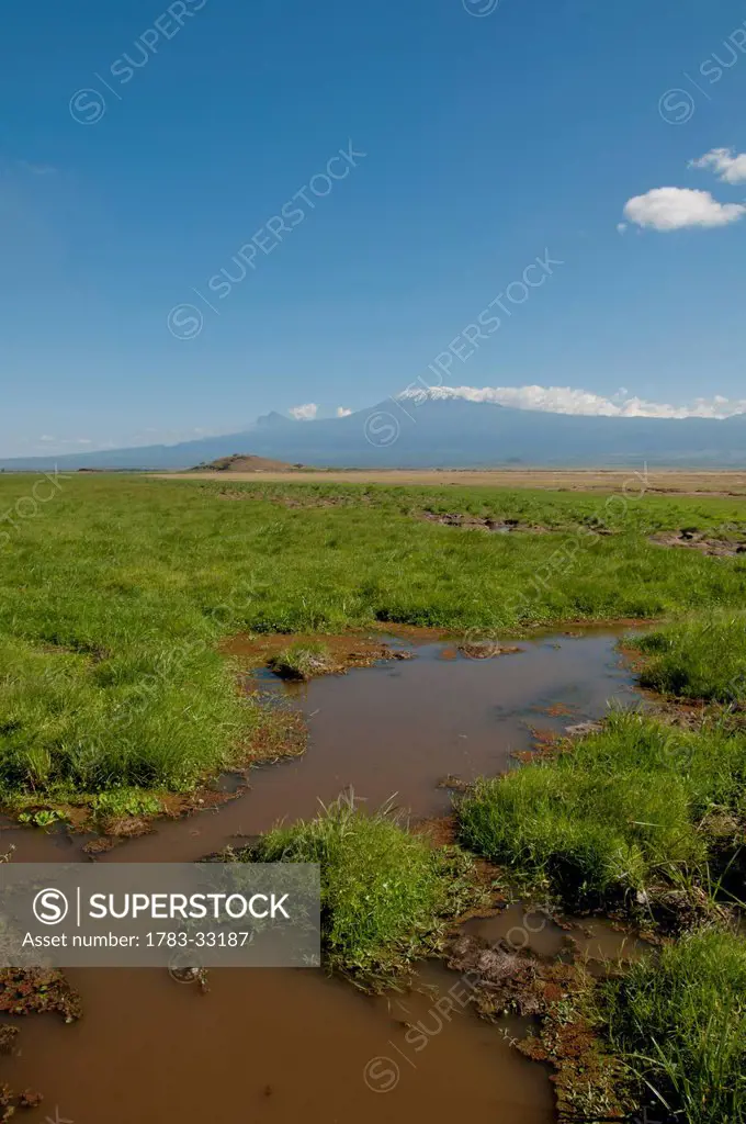 Wet Landscape, Mt Kilimanjaro, Amboseli, Kenya