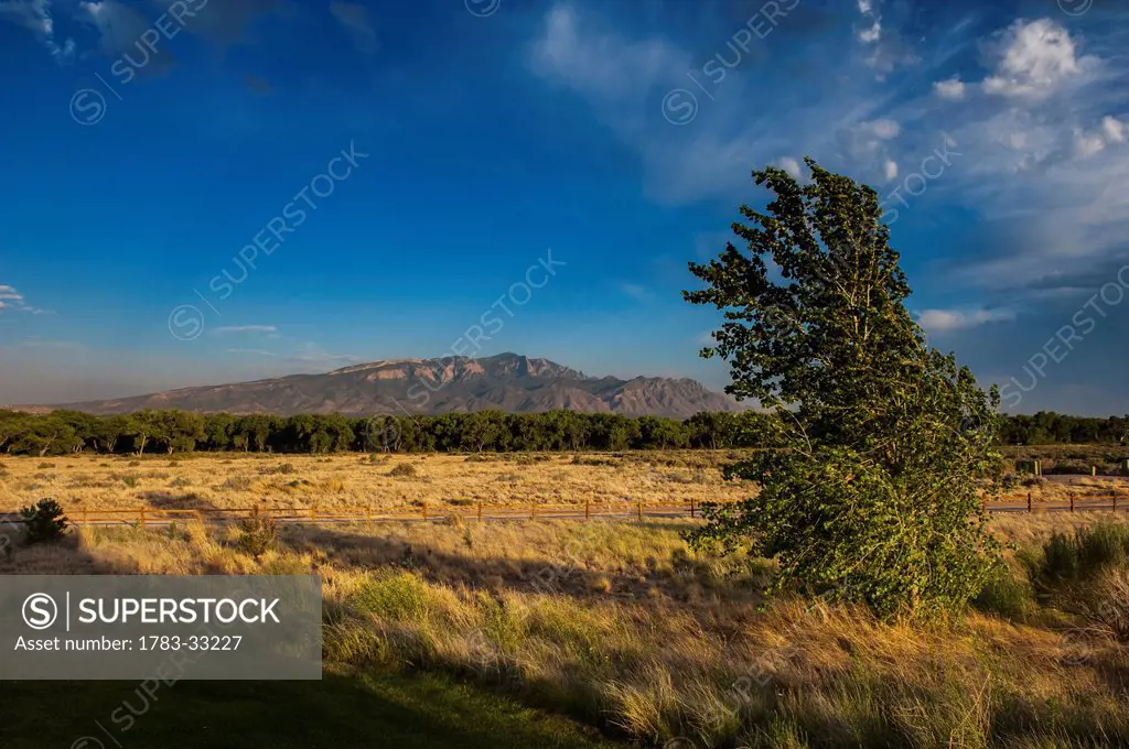 Sandia Mountains Near Santa Fe And Albuquerque, New Mexico, Usa
