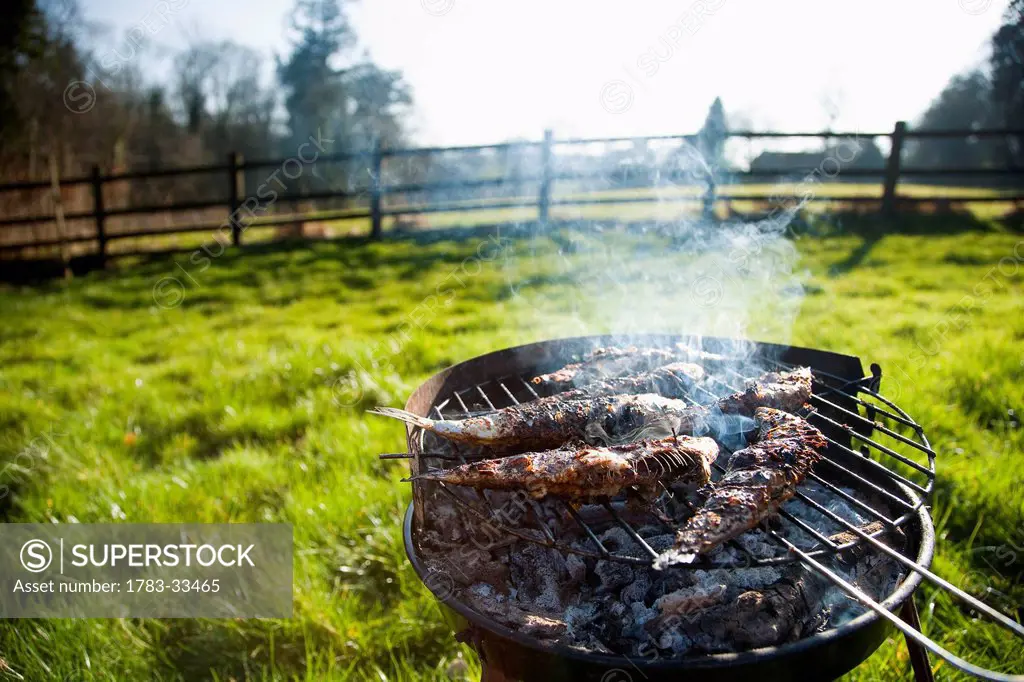Sardines/ Cornish Pilchards, Barbecue In A Garden Of A Rural Cottage On Field In Devon, Uk
