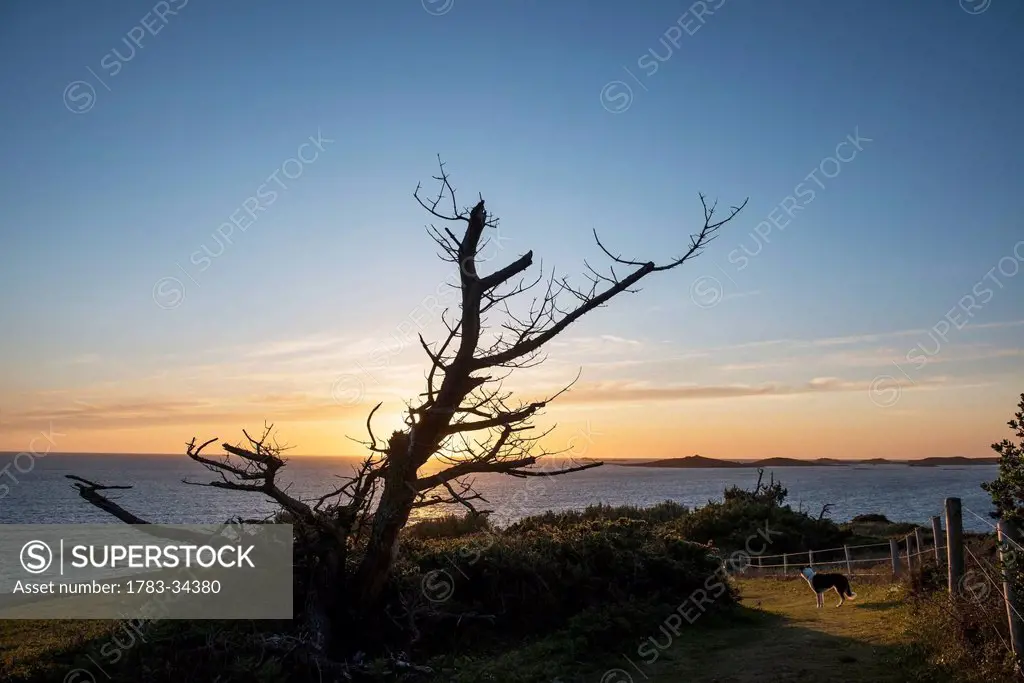Sunset Over Annet Island Viewed From St Mary's, Isles Of Scilly, Cornwall, Uk, Europe